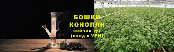 твердый Дмитровск