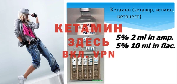твердый Дмитровск