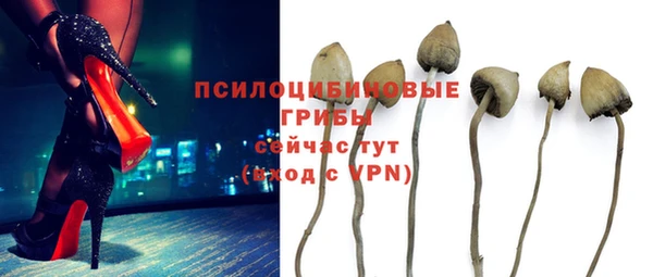 соль курить ск Дмитриев
