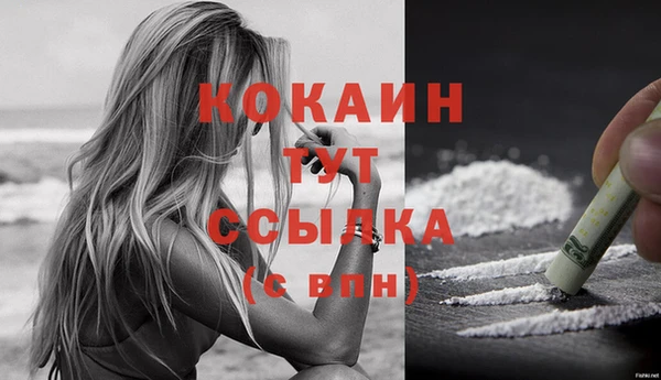 соль курить ск Дмитриев