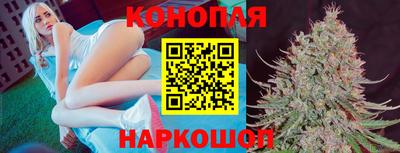 индика Лесосибирск