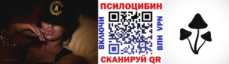 дарнет шоп  omg tor  Галлюциногенные грибы Psilocybe  Звенигород 