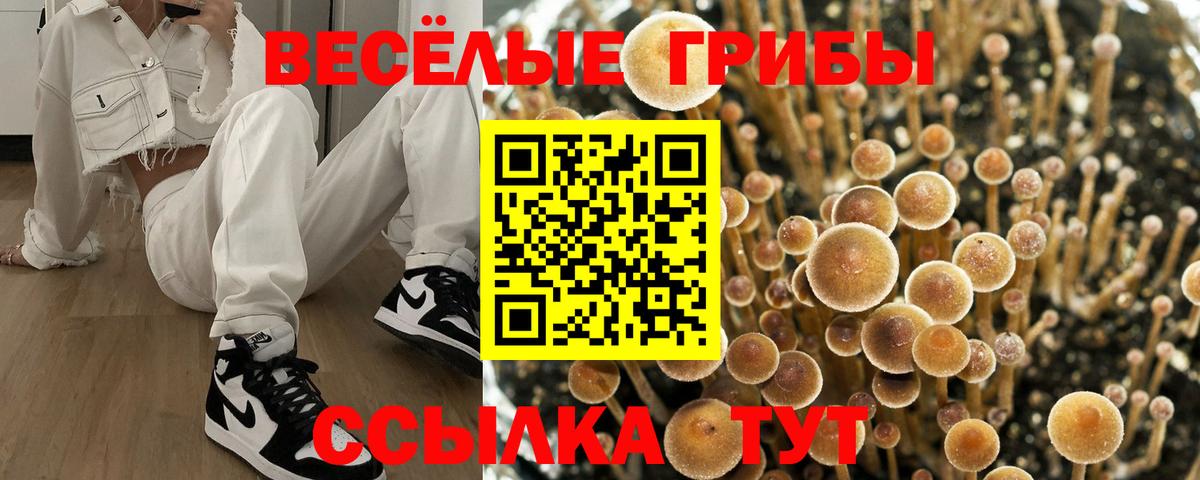 Галлюциногенные грибы GOLDEN TEACHER  Вход с VPN  Звенигород 