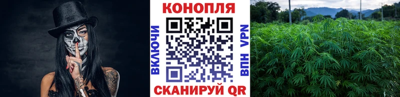 где купить наркотик  Звенигород  Бошки марихуана тримм 